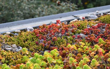 the cost of Mottram Rise green roof installation