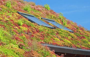 Mottram Rise living roof systems